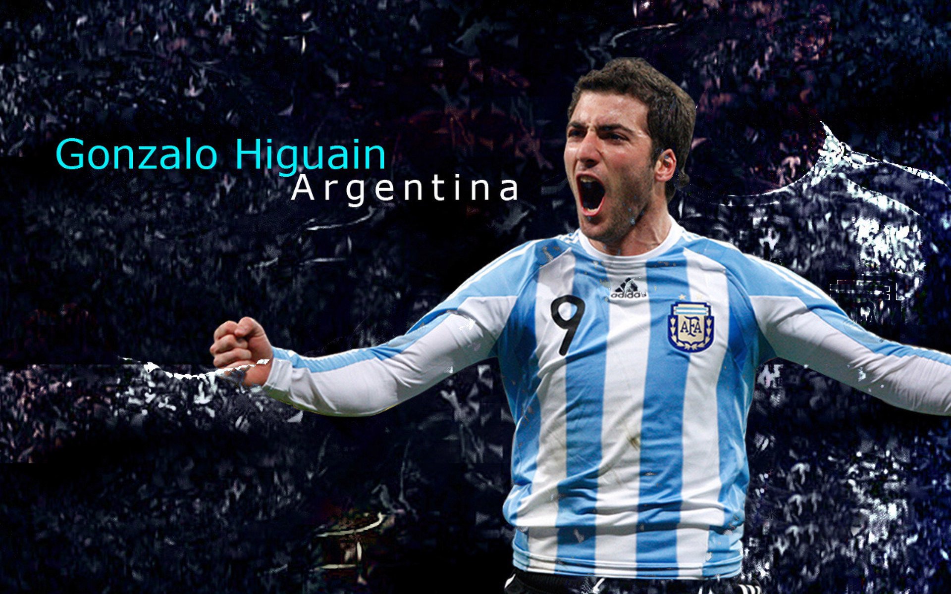 激情与传承,全球球迷文化如何塑造现代体育精神